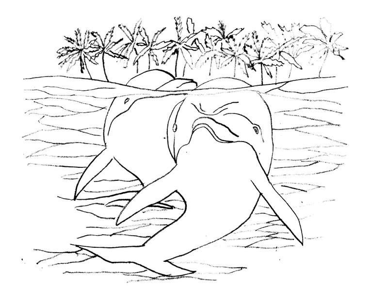 Desenho para colorir Golfinhos