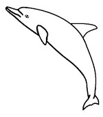 Coloriage Dauphins