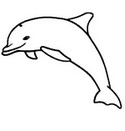 Dibujo para colorear Delfines