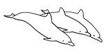 Coloriage Dauphins