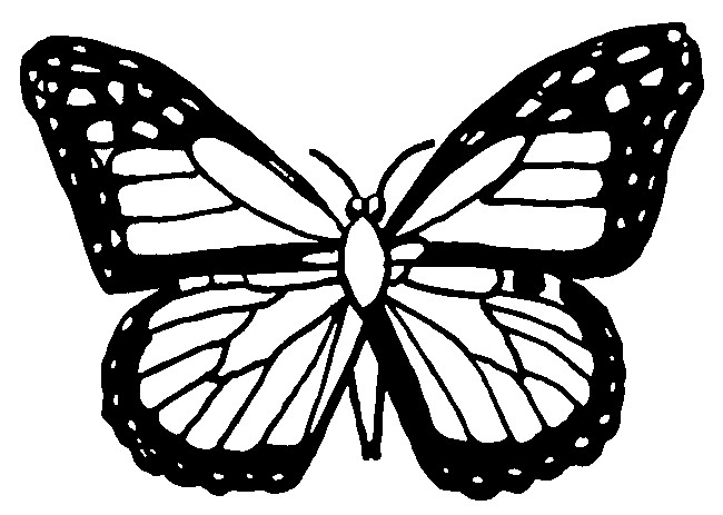 Dibujo para colorear Mariposas