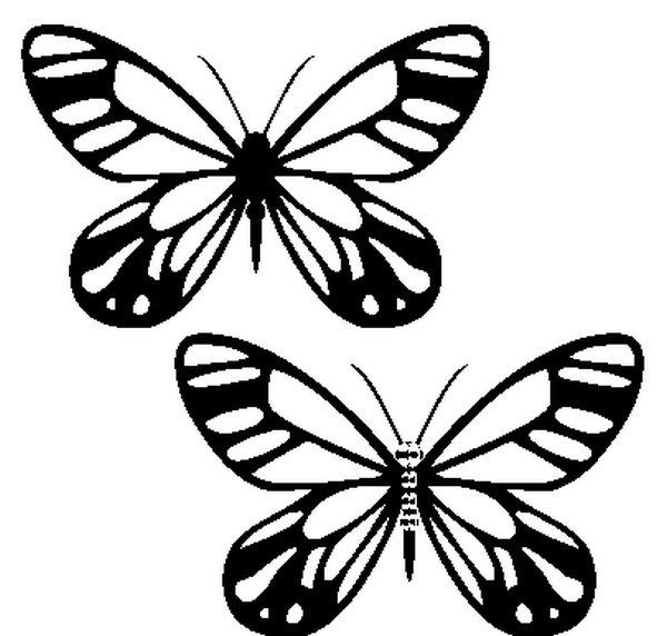 Dibujo para colorear Mariposas