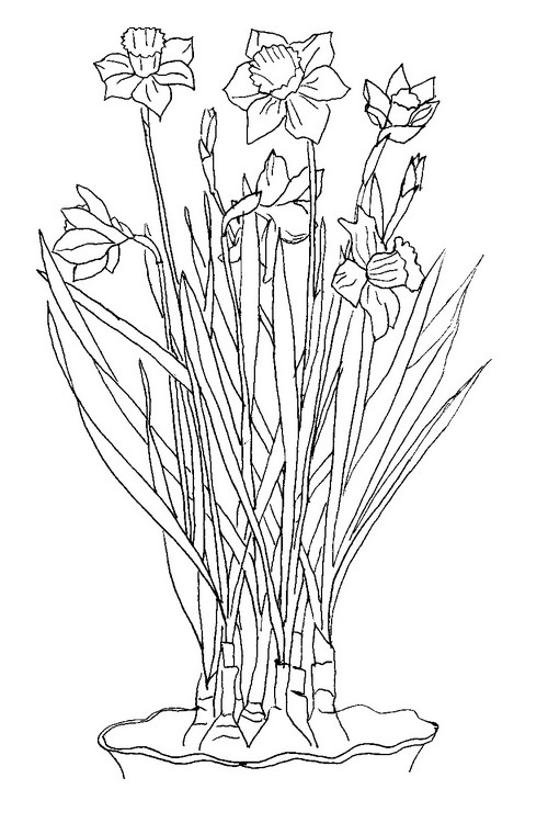 Coloring page Flowers