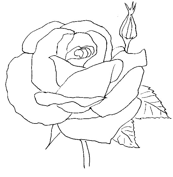 Tulostakaa värityskuvia Ruusu - Kukat