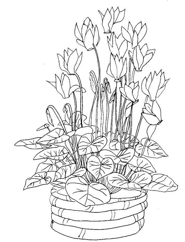 Desenho para colorir Flores