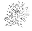 Coloring page Flowers