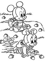 Malebøger Babyer Mickey og Minnie samle agern