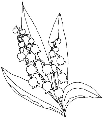 Coloring page Spring