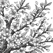 Free coloring page - Cherry Blossom - Spring