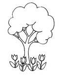 Malebøger Tulipaner i et træ