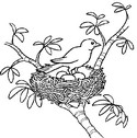 Coloring page Spring