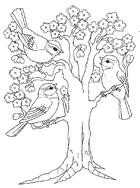 Coloriage Arbre en fleurs et oiseaux