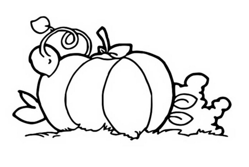 Coloring page Pumpkin - Halloween