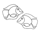 Coloriage Poisson d'avril