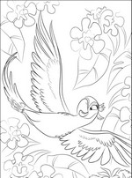 Coloriage Coloriage Rio