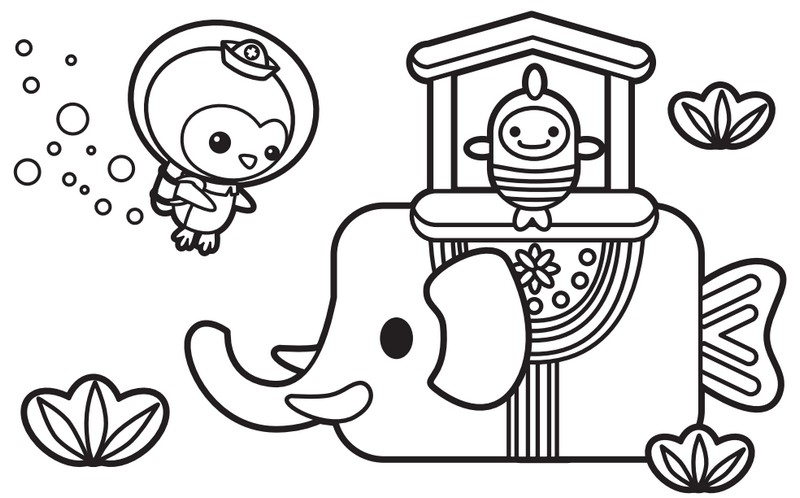 Coloriage L'éléphant de mer