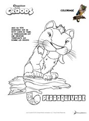 Coloriage - Coloriage Perroquivore - Les Croods