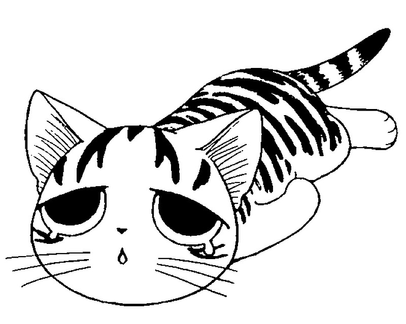 Comment dessiner un chaton Kawaii ! (Chi, une vie de chat) 