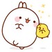 Molang