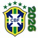 Equipe du Brésil de football 2026