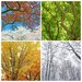 Four seasons