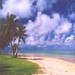Malvorlagen Strand Palmenbäume