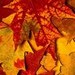 Autunno