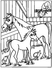 Online coloring page Animals