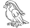 Desenho para colorir Pidgeot