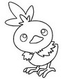 Kifesto Torchic