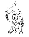 Kifesto Chimchar