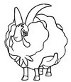 Coloriage Moumouflon