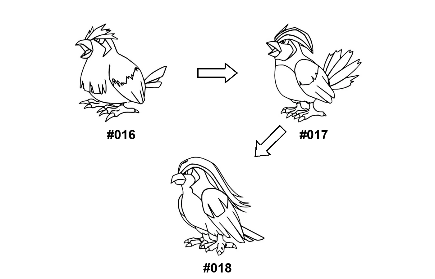 Desenho da evolução Pokémon Pidgey para colorir