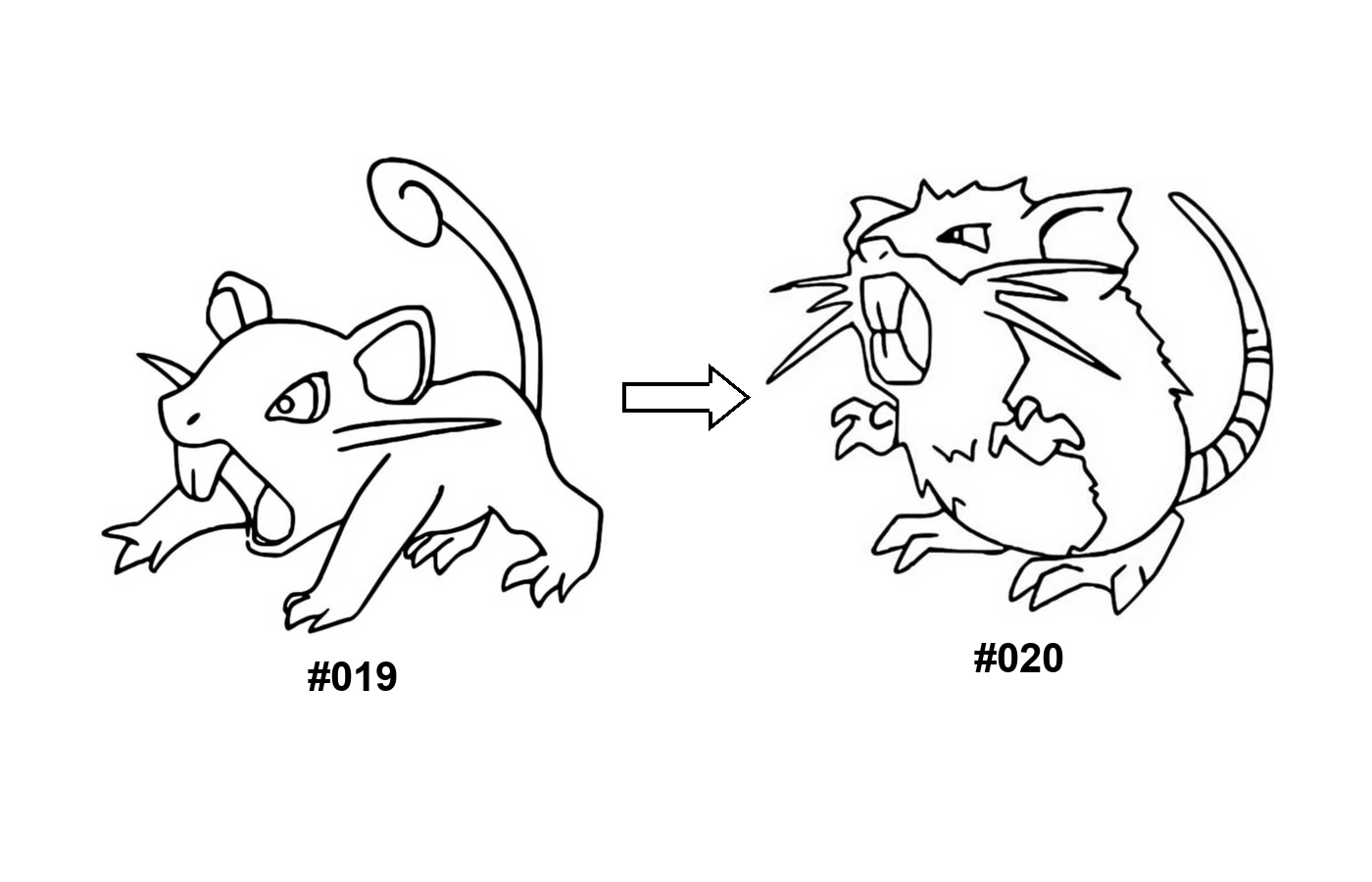 Desenho da evolução Pokémon Rattata para colorir