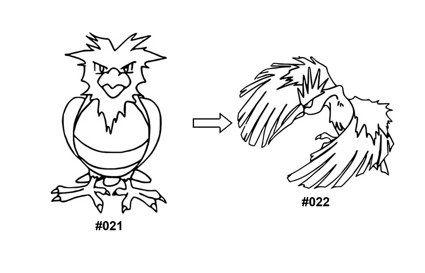 Pokémon evolution coloring page Spearow
