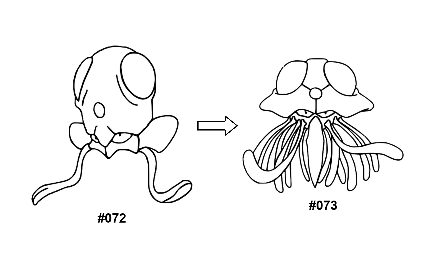 Pokémon evolution coloring page Tentacool