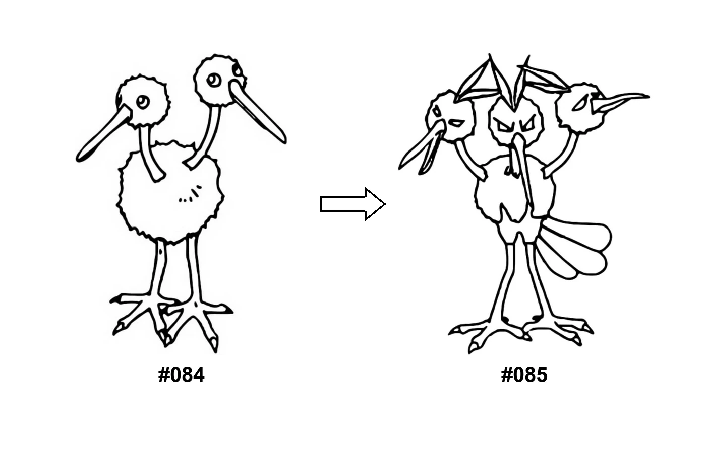 Pokémon evolution coloring page Doduo