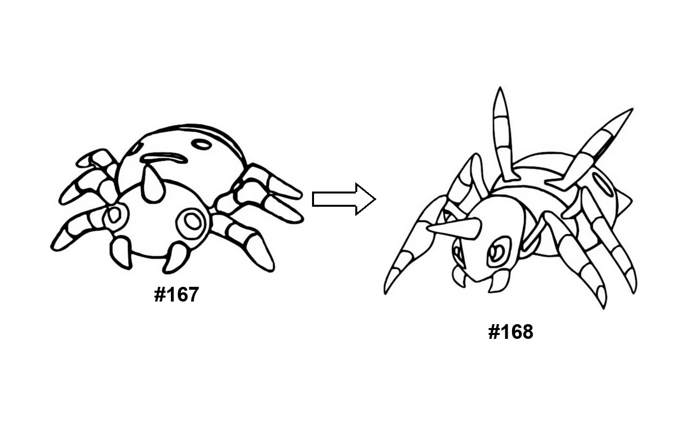 Pokémon evolution coloring page Spinarak