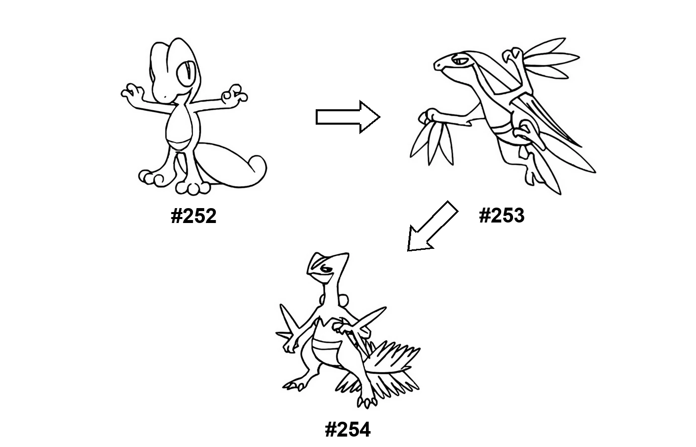 Pokémon evolution coloring page Treecko