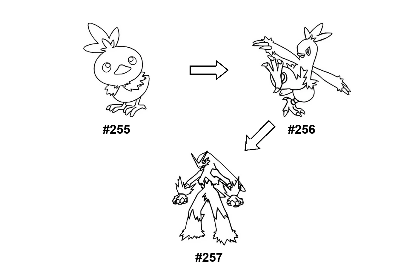 Pokémon evolution coloring page: Torchic, Combusken, Blaziken