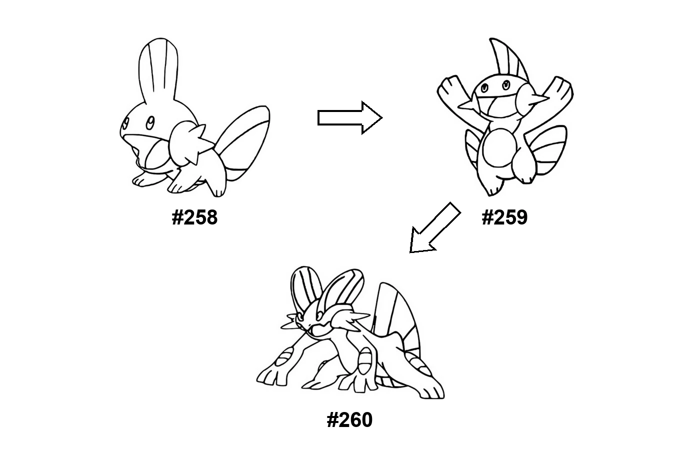 Pokémon evolution coloring page Mudkip