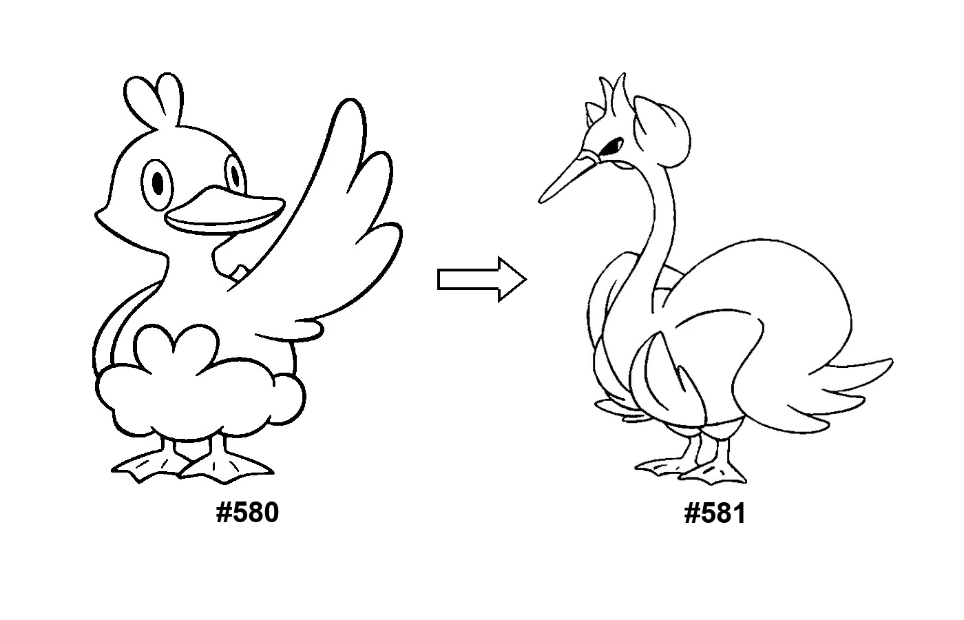 Pokémon evolution coloring page Ducklett